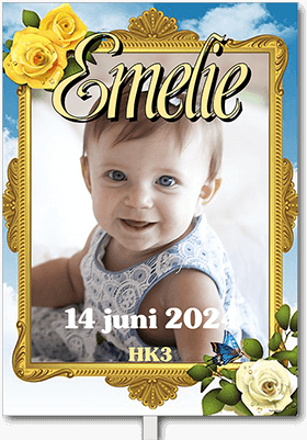Studentplakat: Emelie, 12 juni 2020, HK3